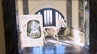 Mythic Creatures AR Exhibition, Made with Trace