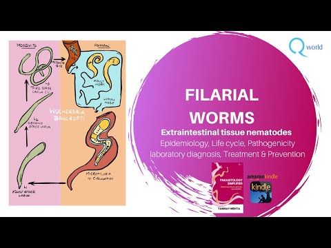 Video: Caracteristicile Morfologice și Moleculare Ale Malayfilaria Sofiani Uni, Mat Udin și Takaoka Ng, N. Sp. (Nematoda: Filarioidea) Din Arborele Comun Tupaia Glis Diard & Duvaucel