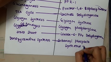 process and rate limiting enzyme II biochemistry  mp4