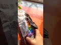 FOAM clay haul from Amazon #viralvideo #shorts #viralshorts