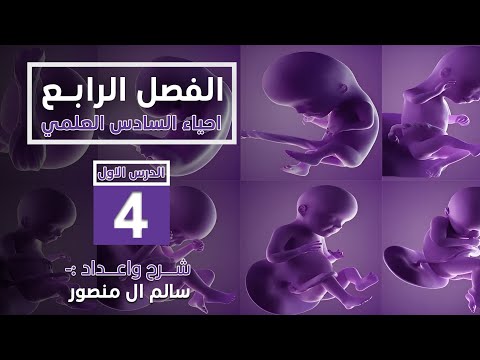 المحاضرة 4 مفاهيم التكوين الجنيني الأساسية