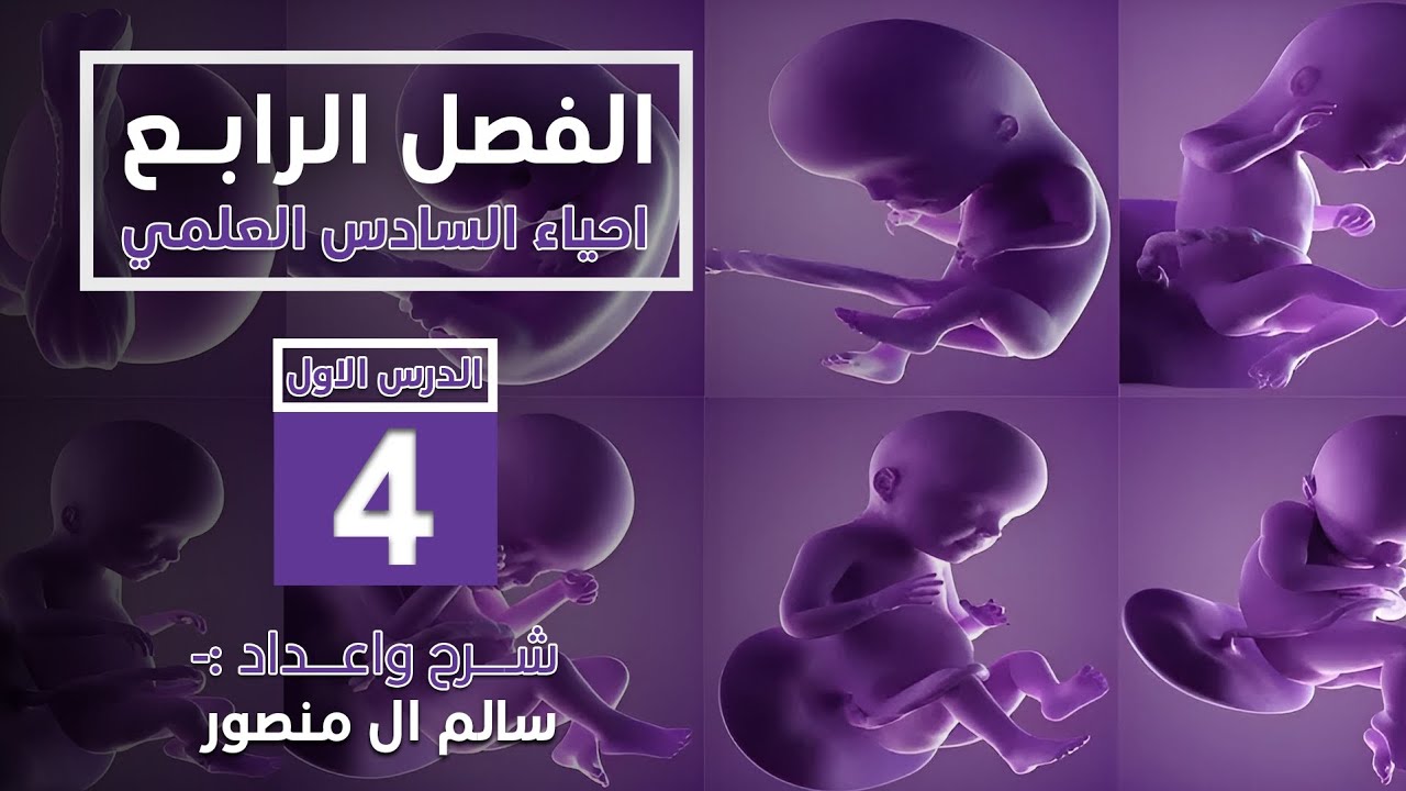 المحاضرة(4) | مفاهيم التكوين الجنيني الأساسية.