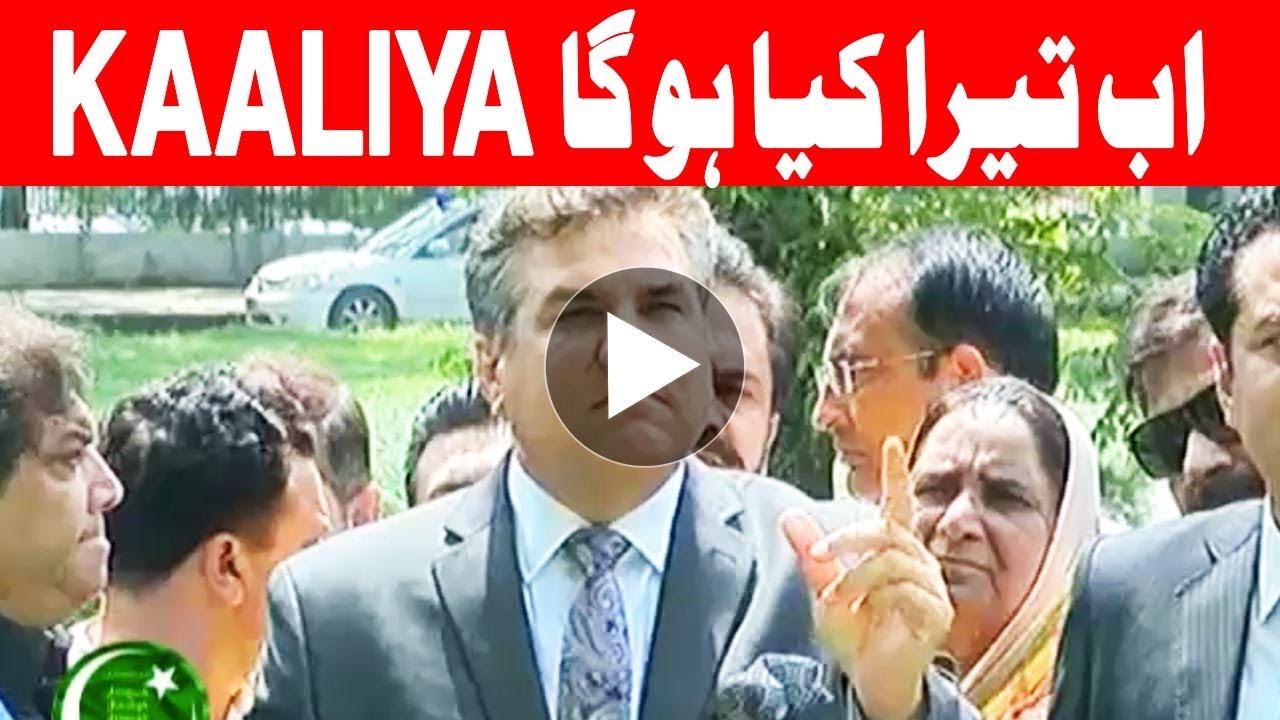 Nawaz Sharif is Clear now from everything - Daniyal Aziz