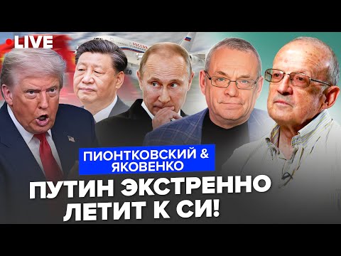 YouTube видео