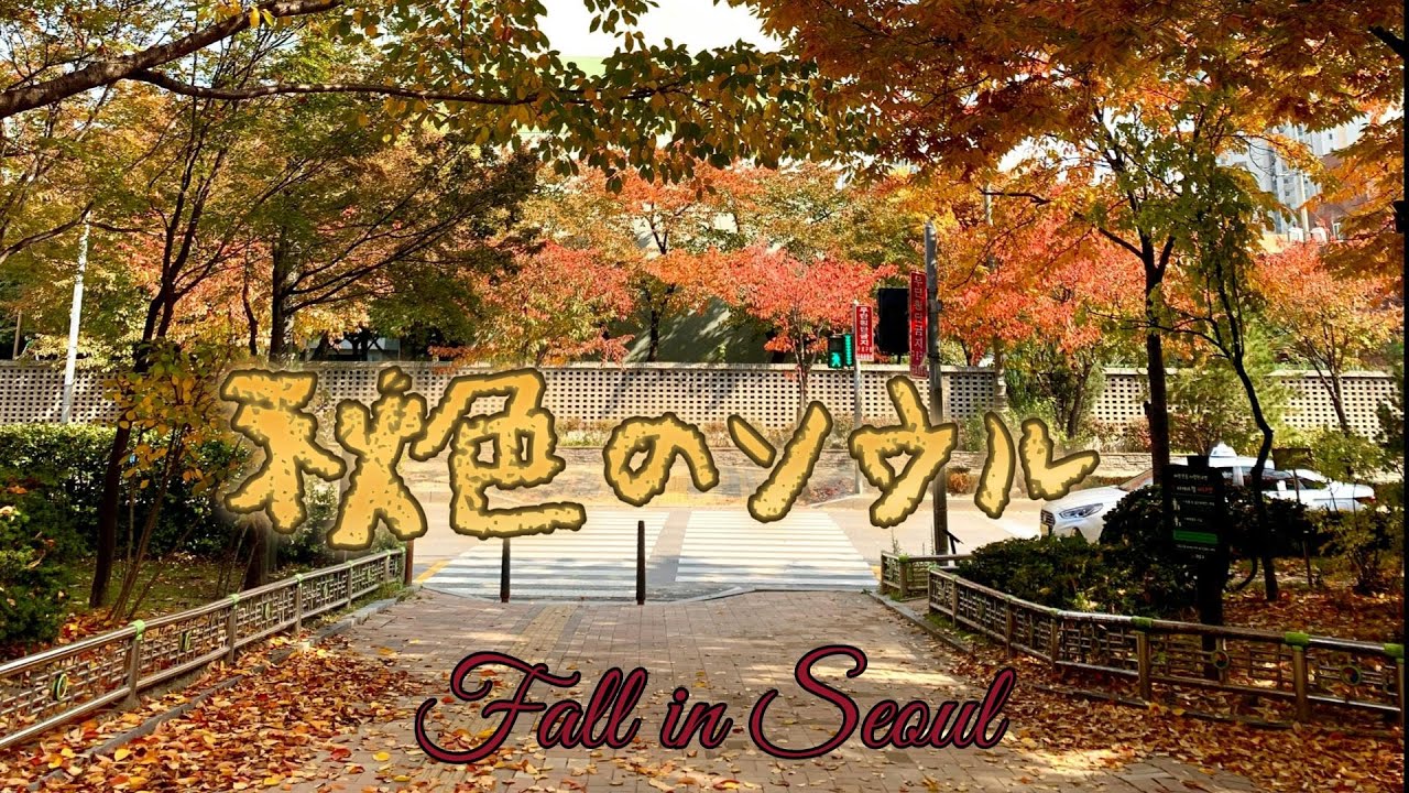 秋色のソウル　韓国  South Korea
