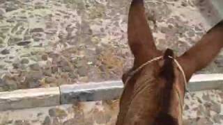 Hungry Donkey - Santorini Hungry Donkey - Santorini