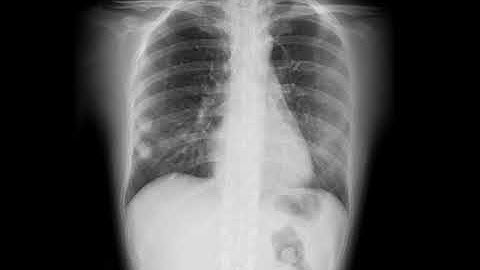 Standard view of Dynamic Digital Radiology.