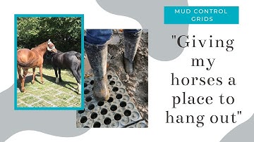 How Mud Control Grids Make Muddy Areas Accessible