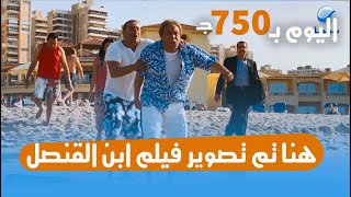 جولة فندق صن رايز اسكندرية افينيو ( أزور سابقا ) Sunrise Alex Avenue Hotel