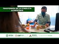 Atención a personas con Trastornos de la Conducta Alimenticios