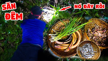 Săn Đêm Ở Rừng Già Giữa Trời Bão - Ký Sự Rừng U Minh - Tập 4