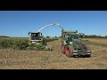 Mais2023 lu schmidt ronneburg claas jaguar 950 mit fendt abfahrern beim mais hckseln