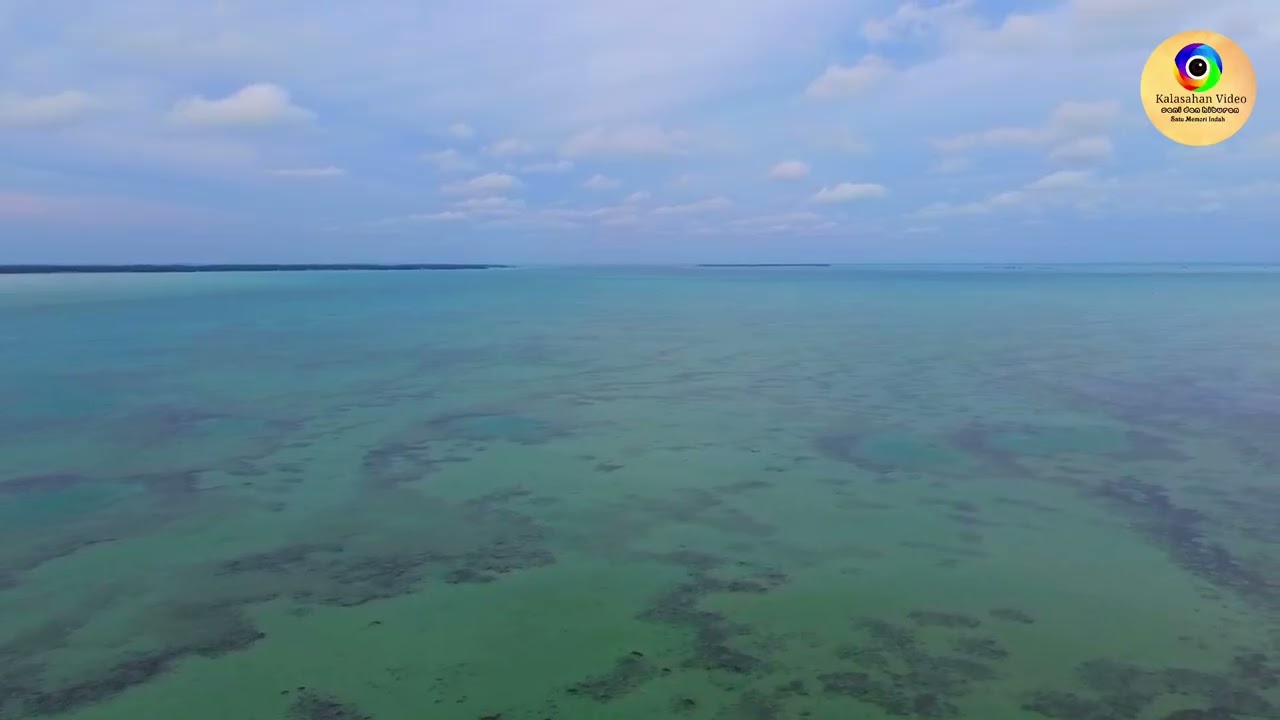 Along AIG ft Kisang ( LILLAL PALAHAN ) #lagubajau #lagubajauterbaru 