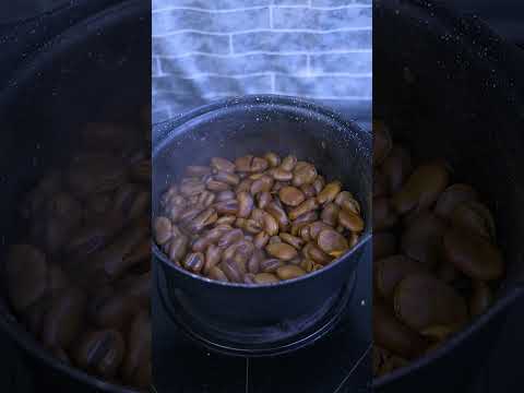 اگه مهمون من باشی چی میخوای   