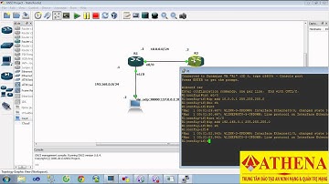 [Thực tập Athena - Tuần 3] Cấu hình Static Route - Nguyễn Thành Tài