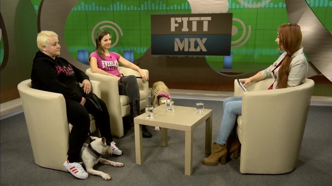 Fitt-mix: Kutyás súlyhúzás (2019.12.20.)