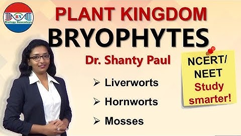 Bryophytes- Plant kingdom