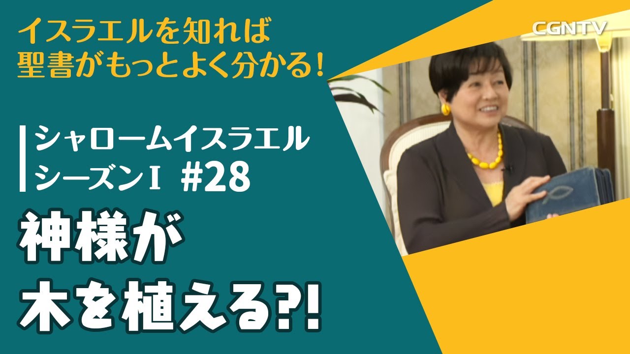 神様が木を植える⁈｜第28話：シャロームイスラエルシーズンⅠ(2014-2016)