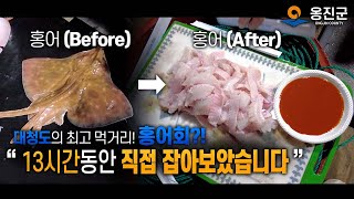 옹진군 랜선투어 대청도의 최고 먹거리!홍어회?! 직접잡아보기!