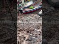 CÁ TRA SÔNG KHỦNG - ĐẶC SẢN CÁ SÔNG THIÊN NHIÊN AN GIANG