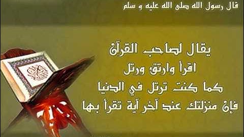 الشيخ فهد الغراب _ سورة فصلت