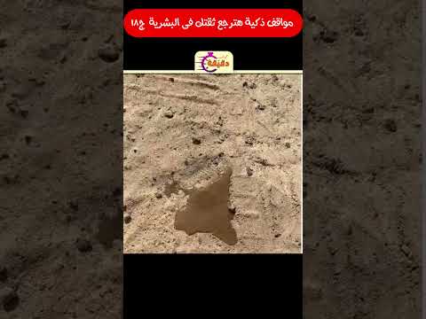 مواقف ذكية هترجع ثقتك فى البشرية ج18