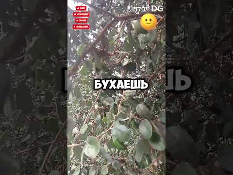 Весëлый Анекдот😁 #юмор #шутки #прикол #смех #ржака #топ #шортс #shorts