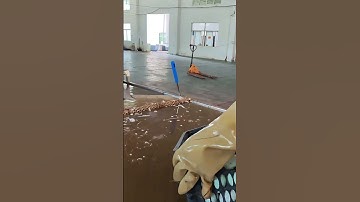 The Process of Making Salted Duck Eggs