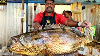 KASIMEDU 🔥 SPEED SELVAM | BIG SIZE GROUPER FISH CUTTING VIDEO | 4K VIDEO | IN KASIMEDU