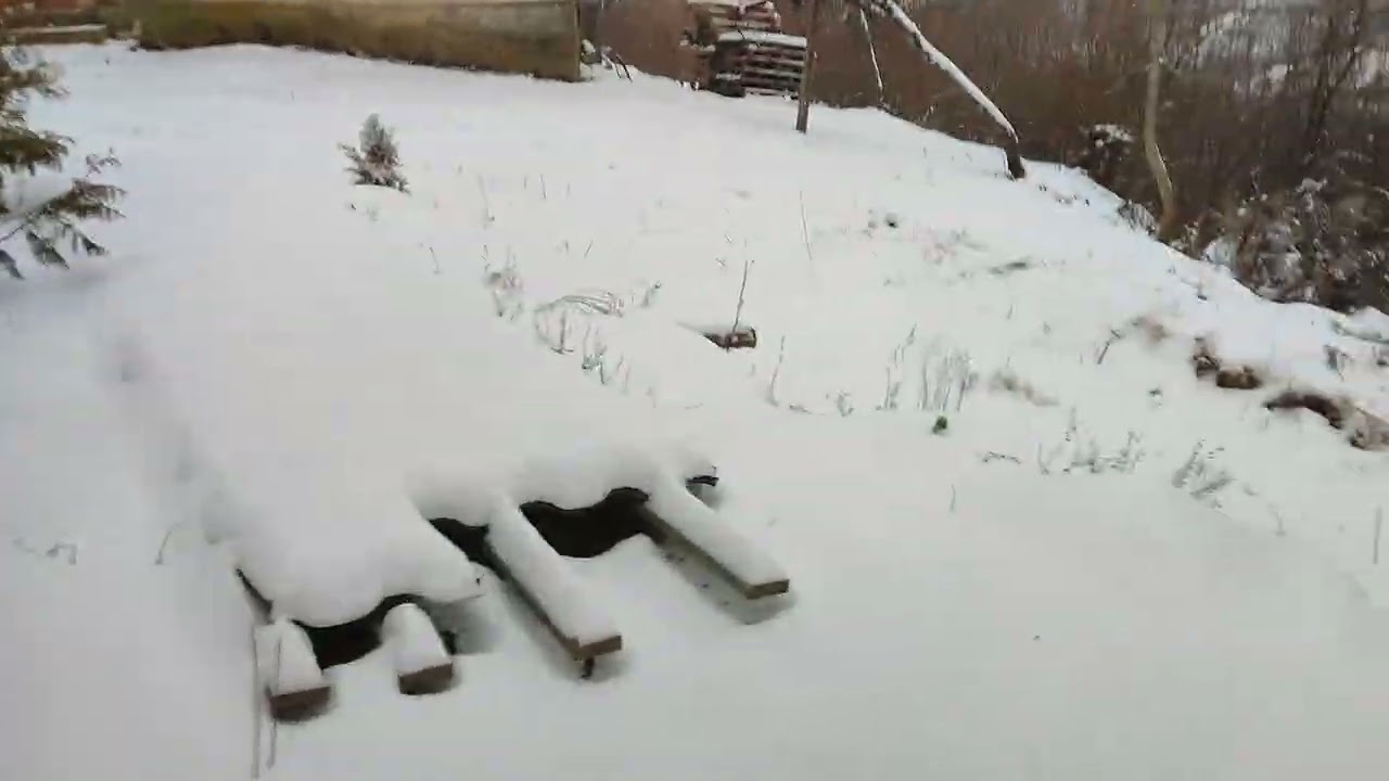 Фундук в Закарпатті, з новим роком...