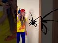 OMG Super Giant SPIDE🕷️Rin room#shorts by Super Max🕷️🕷️🕷️#short