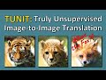 TUNIT: Rethinking the Truly Unsupervised Image-to-Image Translation (Paper Explained)