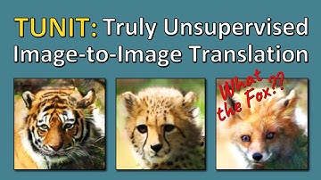 TUNIT: Rethinking the Truly Unsupervised Image-to-Image Translation (Paper Explained)