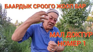 АТ, МАЛ, КОЙ БОЙУНЧА СРООЛОРГО ЖООП