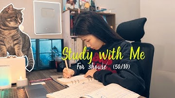 Study With Me 4K | 5 Hours of Productivity with Pomodoro (50/10) & Gentle Rain - Cat cute