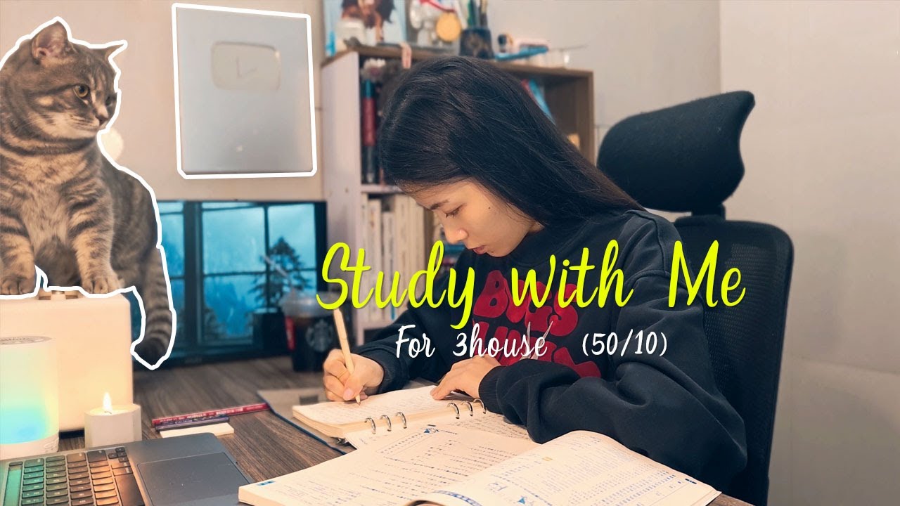 Study With Me 4K | 3 часа продуктивности с Pomodoro (50/10) и мягким дождем - милый кот