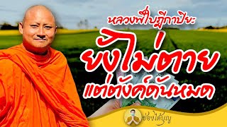 หลวงพี่ใบฎีกาปิยะ ยังไม่ตายแต่ตังค์ดันหมด ลำบากหลาว ธรรมะฮาเฮ แหลงใต้ เทศน์ทองแดง