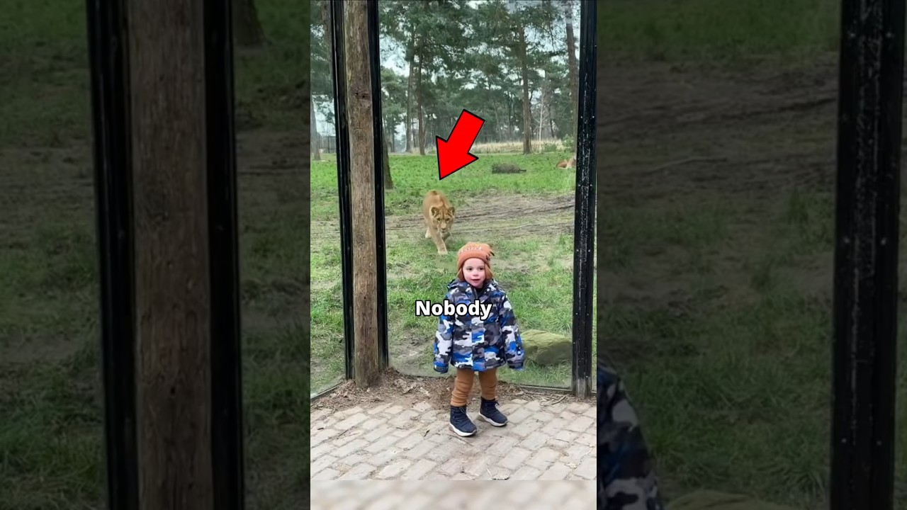 Unbelievable Genius Cat! 🤯🤯