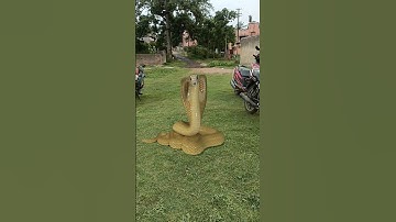 Nagin snake vfx funny magic video | Kinemaster editing