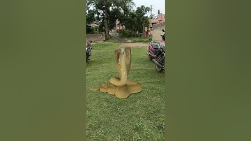 Nagin snake vfx funny magic video | Kinemaster editing