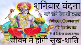 Shani Dev Bij Mantra 108 time |शनि देव बीज मंत्र 108 बार | Shani Dev powerful Mantra ShaniDevMantra