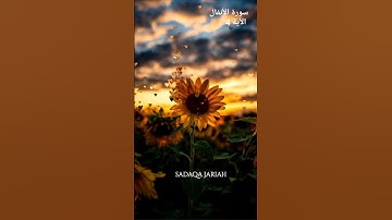 سورة الأنفال الأية 4