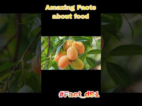 Amazing Facts About
