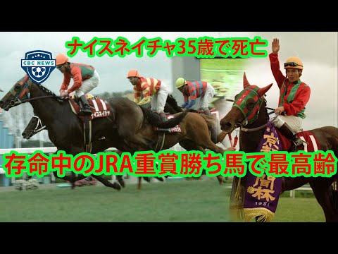 ナイスネイチャ35歳で死亡 伝説の有馬記念3年連続3着、重賞4勝 存命中のJRA重賞勝ち馬で最高齢