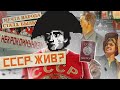 История Всего смотрит ролик Михаила Лидина про секту граждан СССР