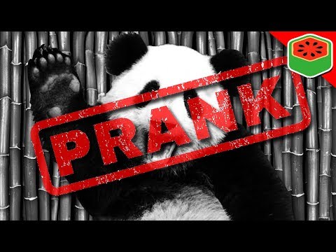 pranked-my-friends!-(gone-wrong)-(gone-right)-|-prank-bros.