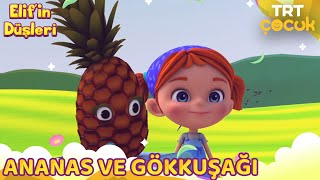 ELİF'İN DÜŞLERİ | ANANAS VE GÖKKUŞAĞI | TRT ÇOCUK