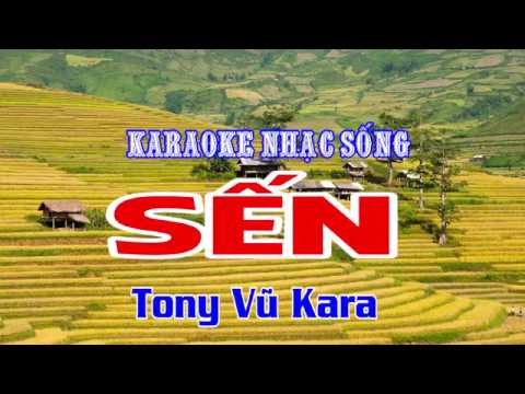 KARAOKE BOLERO || SẾN - Ngọc Sơn (Tone Nữ) || Beat Chuẩn Nhất