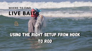 How to find live bait(mullet) and what setup to use for Garrick and kob // Just a normal day! screenshot 2