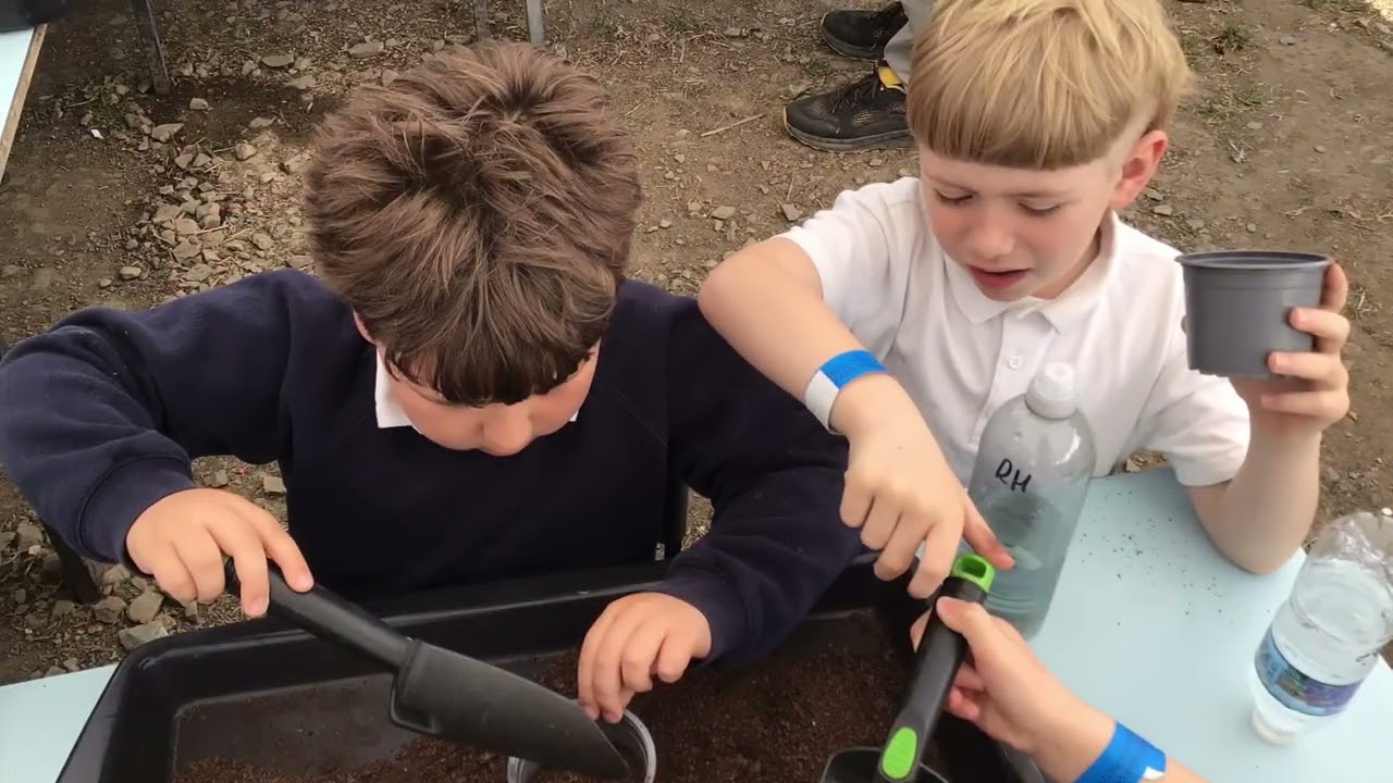 Year 2 trip to Kenyon Hall Farm
